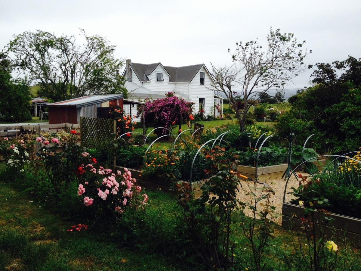 טקאקה Ashley Villa Bnb מראה חיצוני תמונה